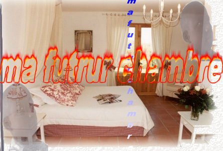ma futur chambre